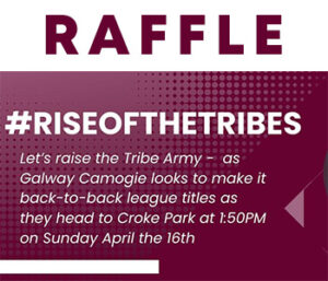 Rise of the Tribes Raffle - Galway Camogie